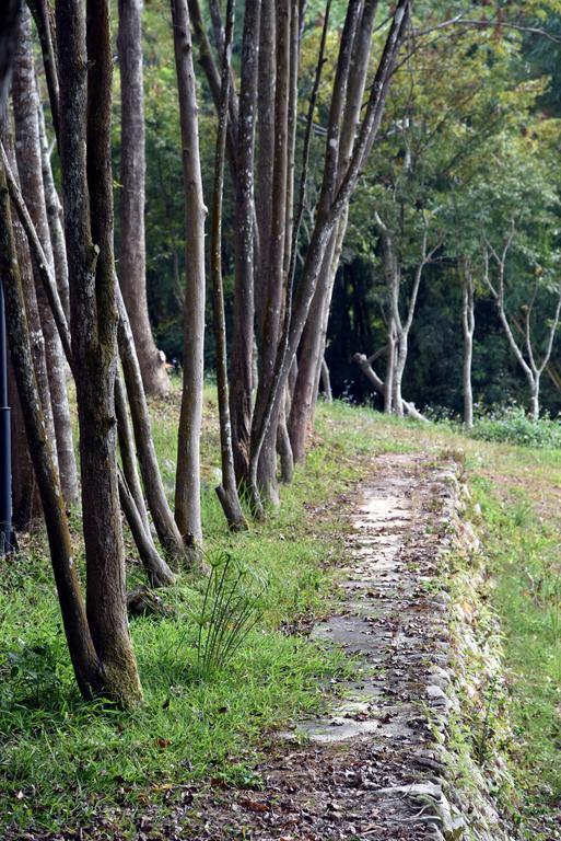Sun Moon Lake Bamboo Rock Garden Yuchi Esterno foto